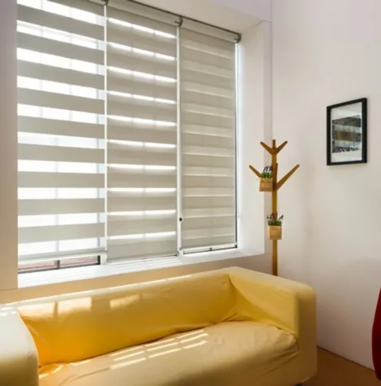 Zebra Blinds